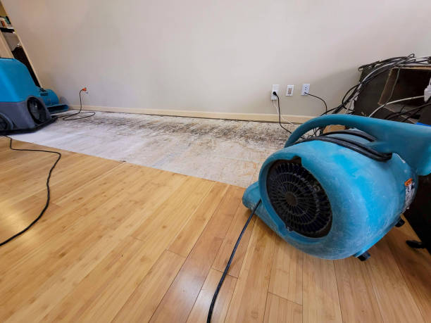 Professional Ceiling Water Damage Repair technician working in Preston, OK